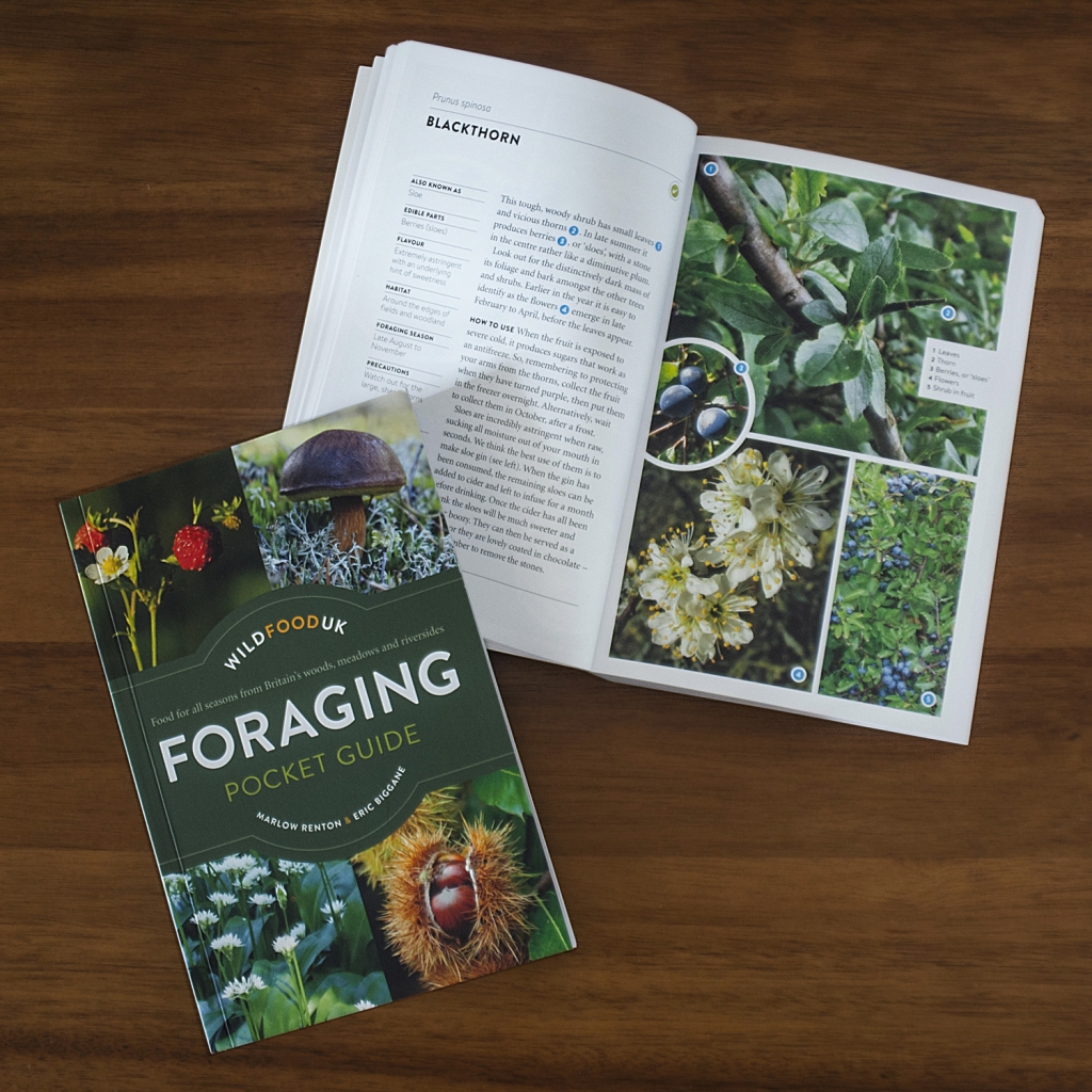 The Wild Food UK Foraging Pocket Guide - Foraging