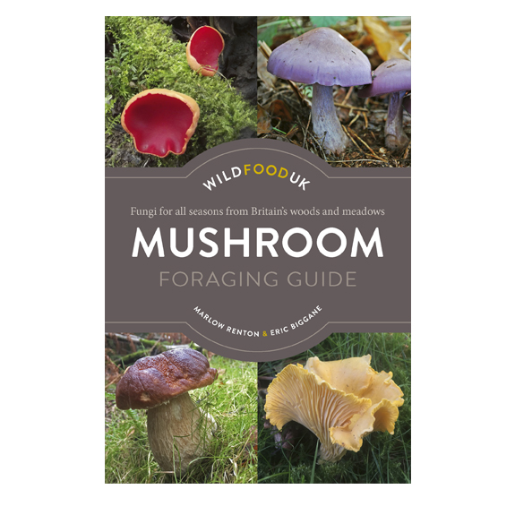 Mushroom Foraging Guide - Foraging