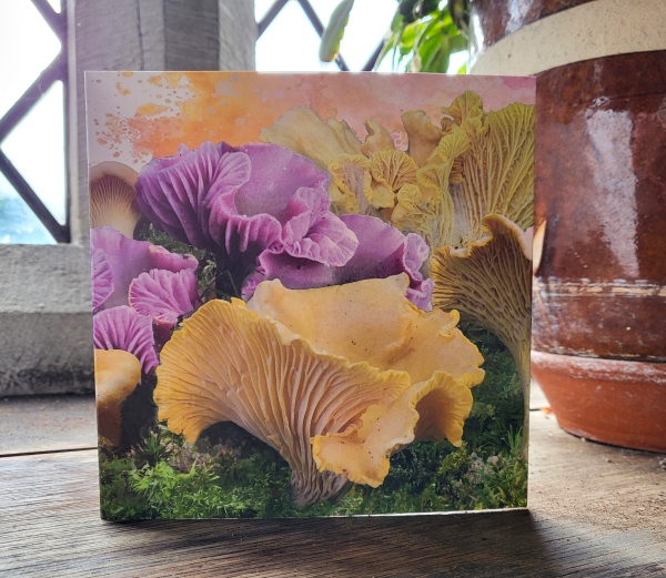 Chanterelle & Amethyst Deceivers