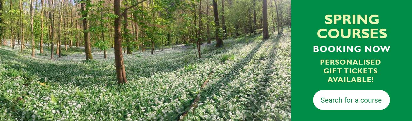 Spring Foraging courses live